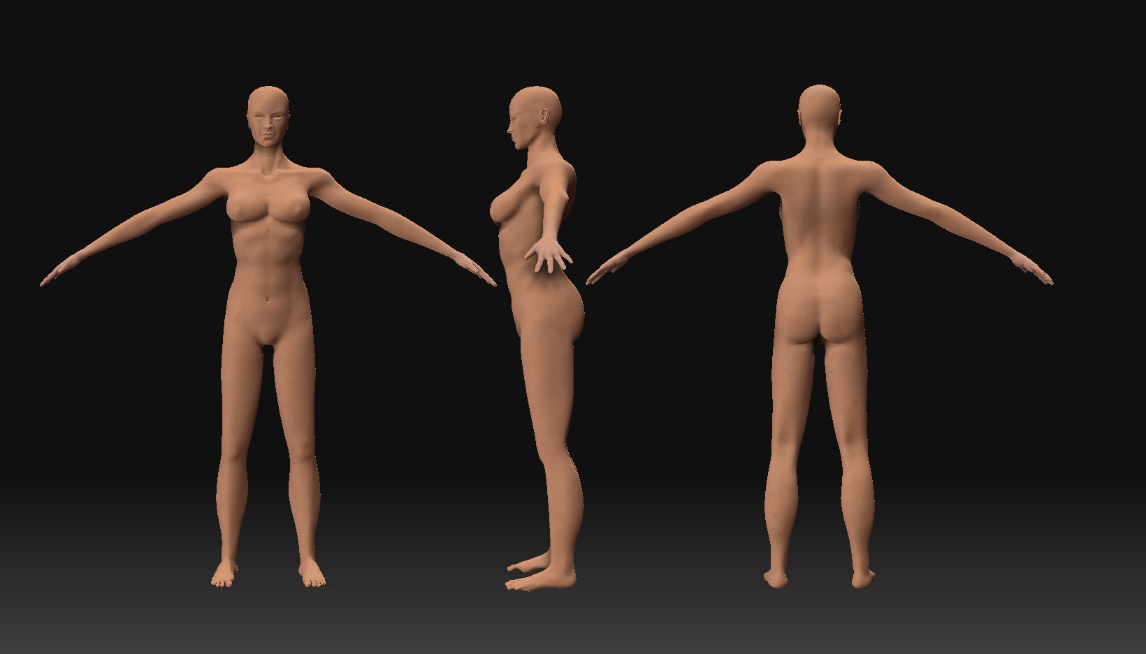 wip3_tpose.jpg