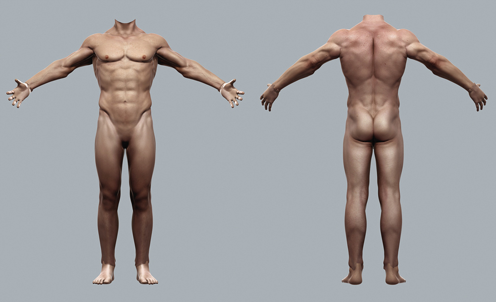 body_template.jpg