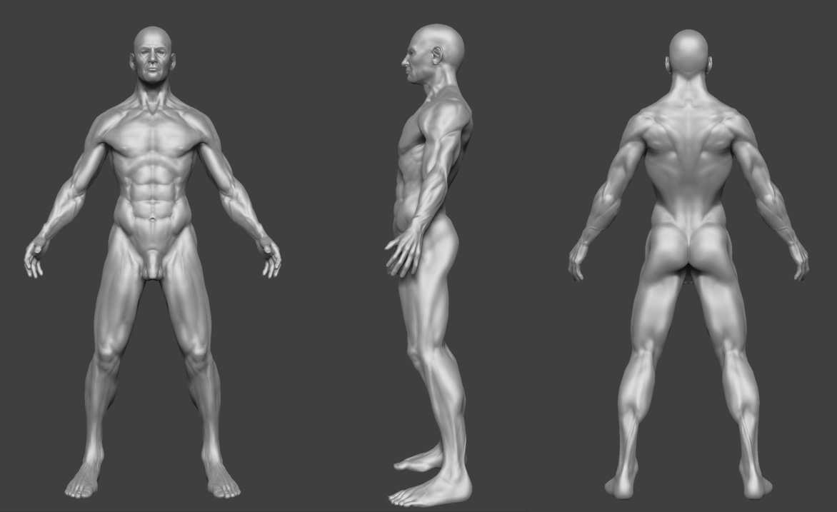 anatomy_study_WIP-12-3.jpg