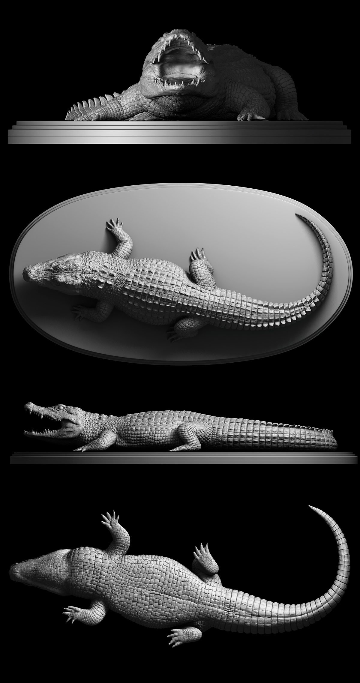 Alligator.04.jpg