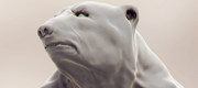 teste_render 7 hour.jpg