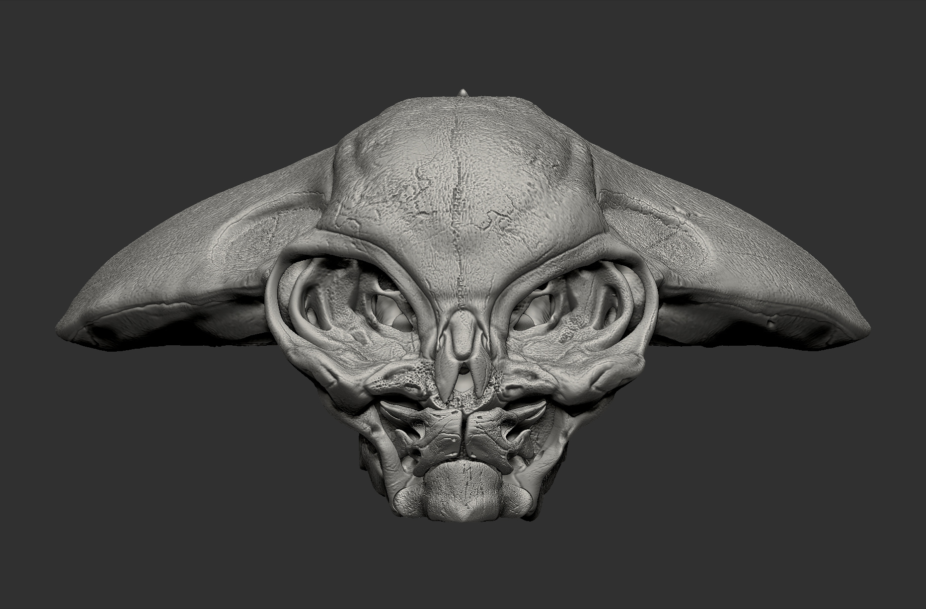 AlienSkull_FrontView_DP.jpg
