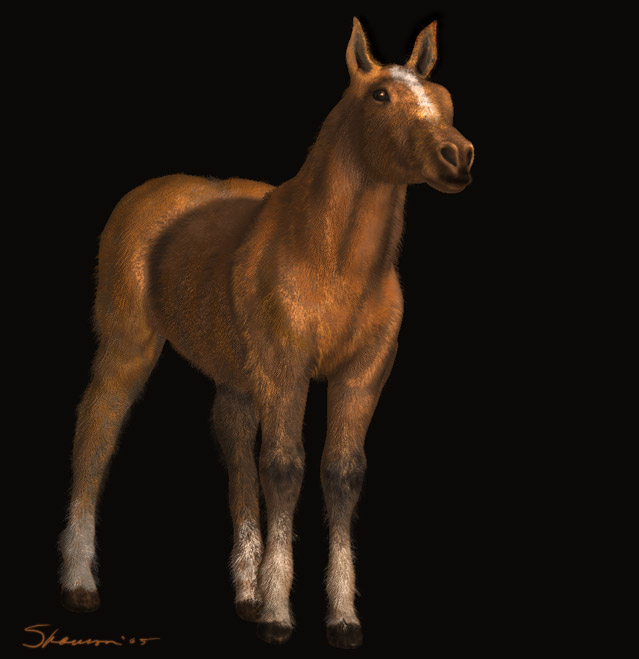 GoldenColt.jpg