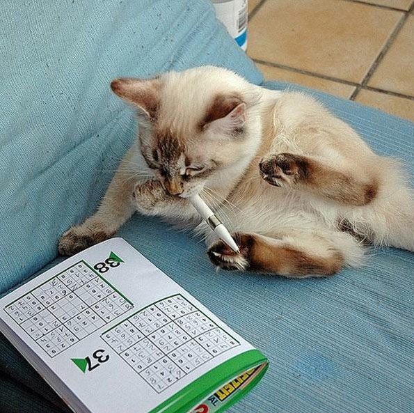 calendar.jpg