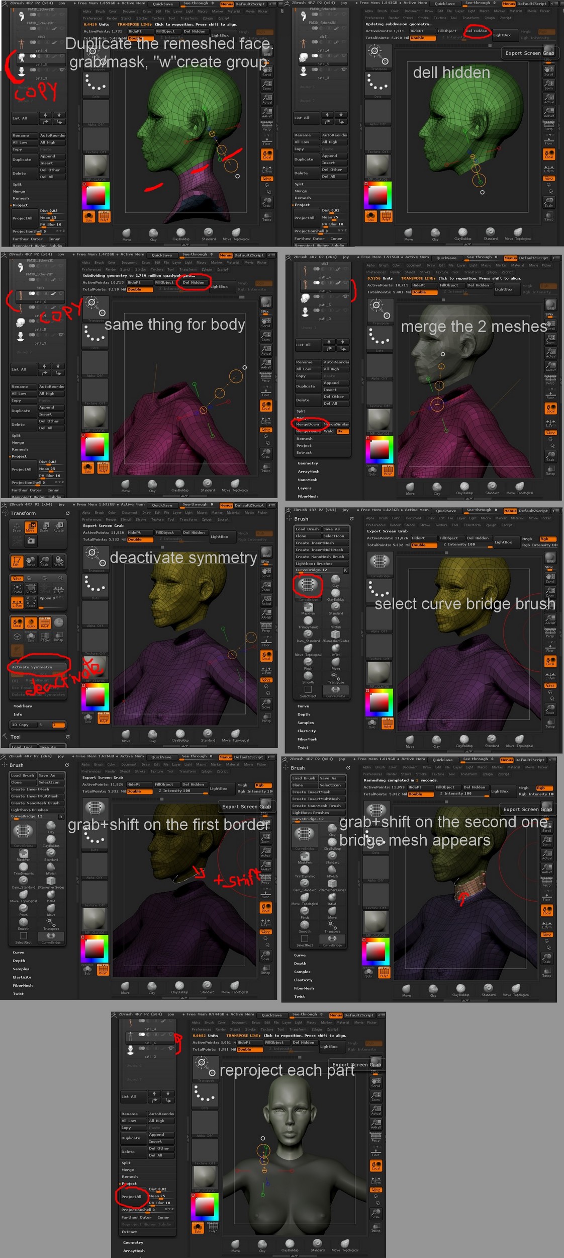 merging head and body.jpg
