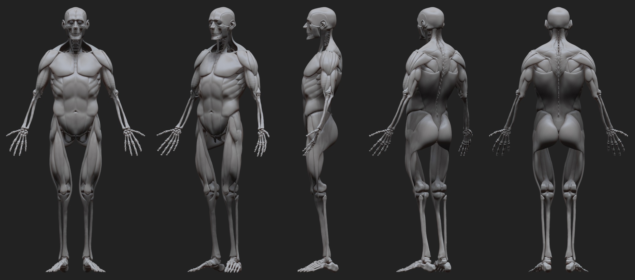 Skeleton_04.jpg