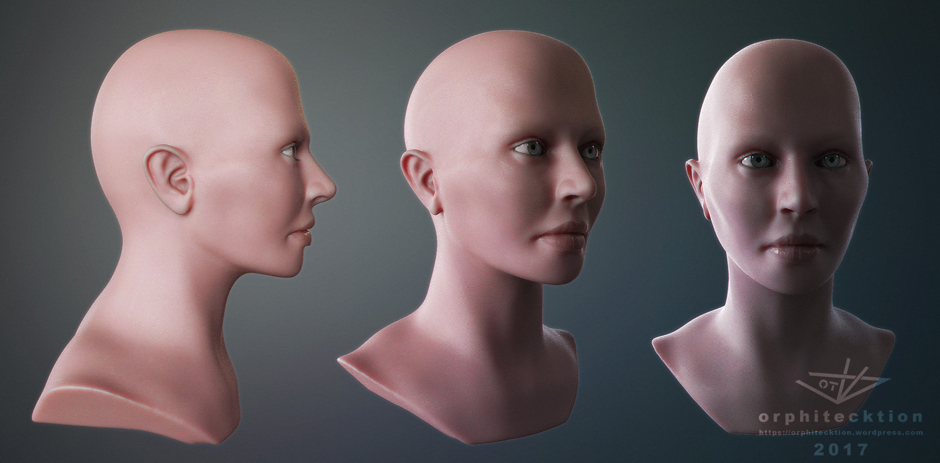 Bust_2017_E03.jpg