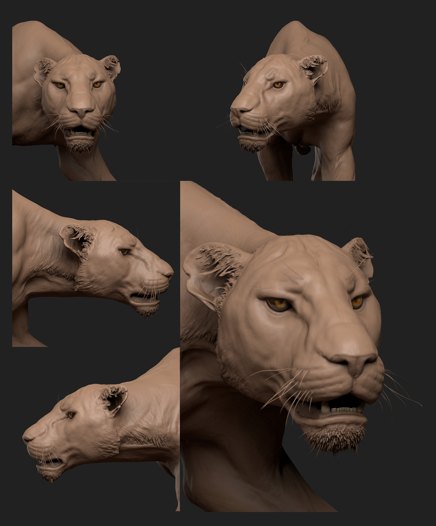 head1006.jpg