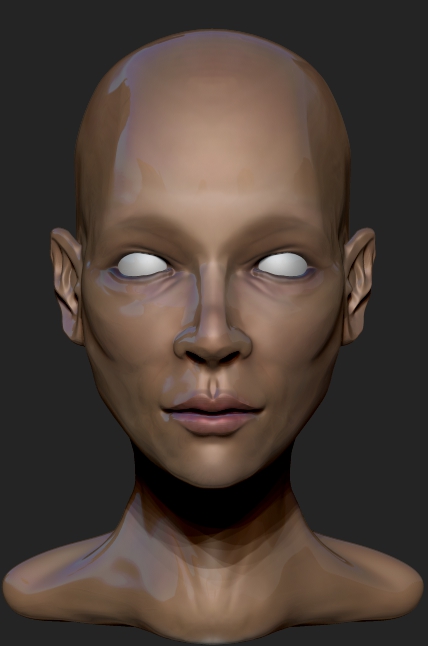 FEMALE ANATOMY retry26.jpg