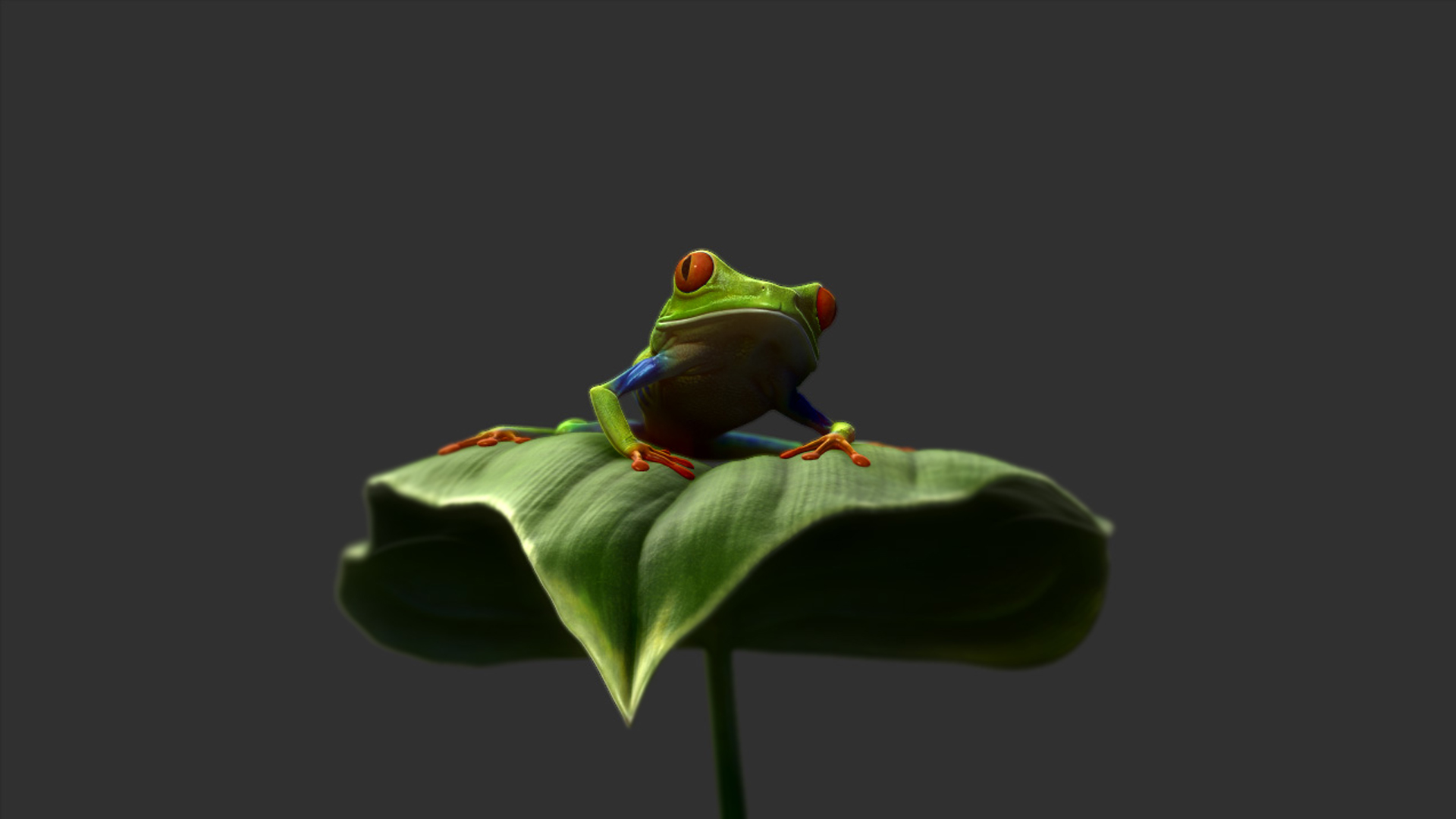 LeafFrog_01.jpg