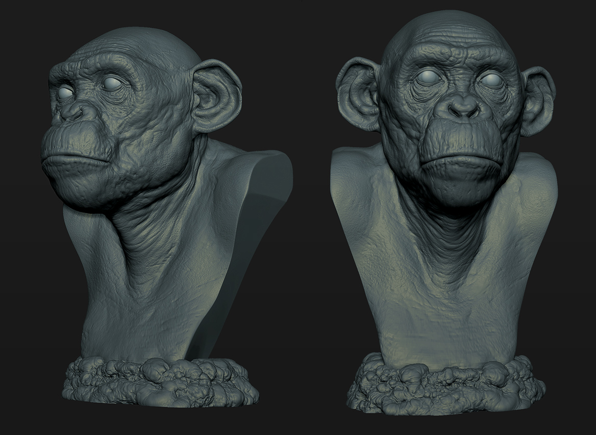 chimp%20wip