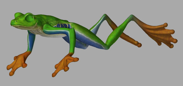 Frog4.jpg