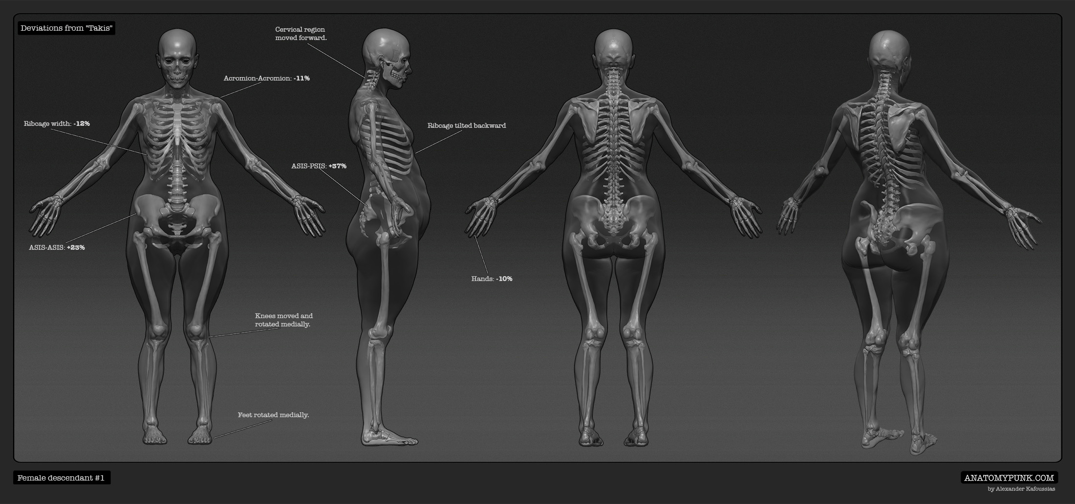 FemaleDescendant1_xray_Anatomypunk.jpeg