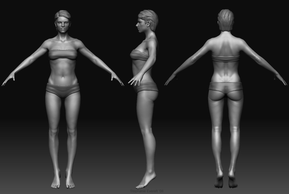 fem_wip_02.jpg
