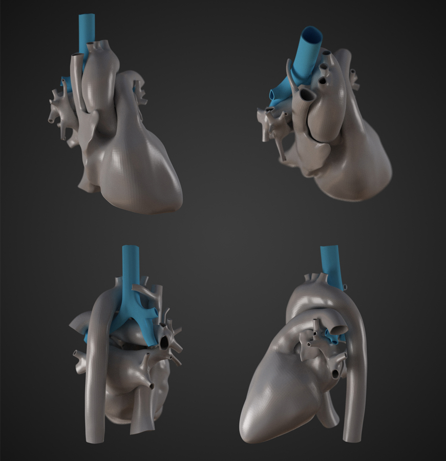 heart-anatomy.jpg