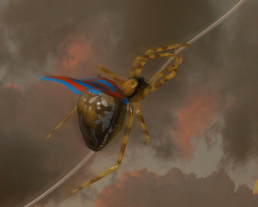 Superspider.jpg