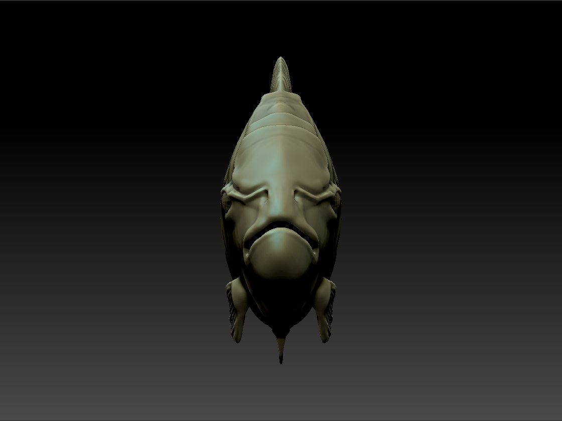 Piranha1.jpg