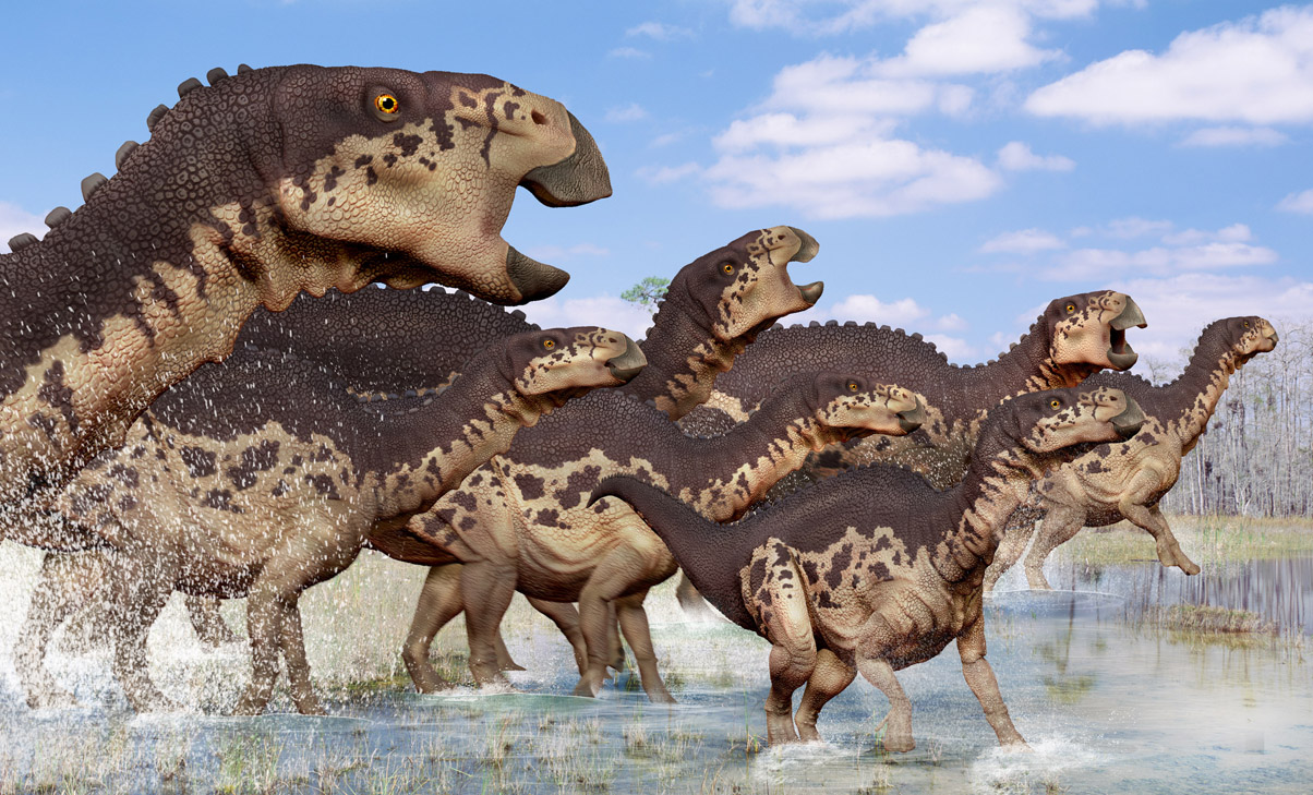 Edmontosaurus Rough low.jpg