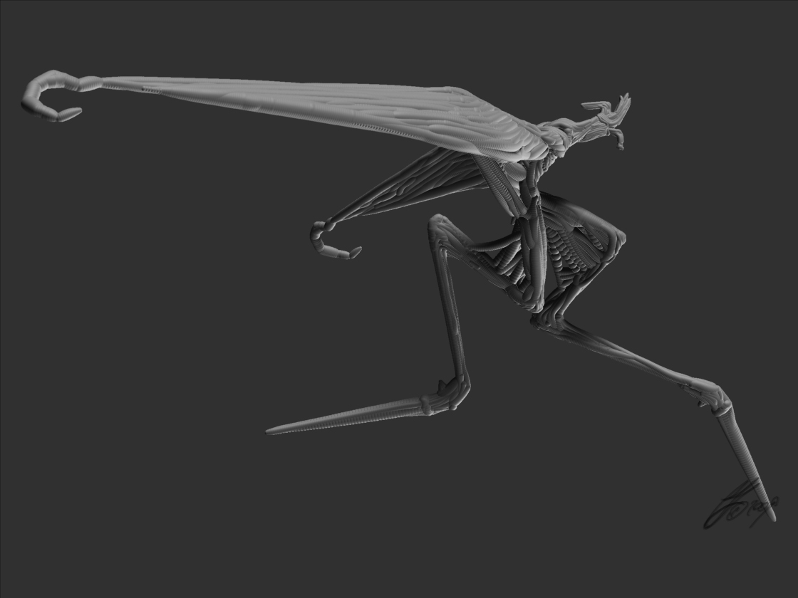 SandSkimmer_ZSkiffs_TestMus.jpg