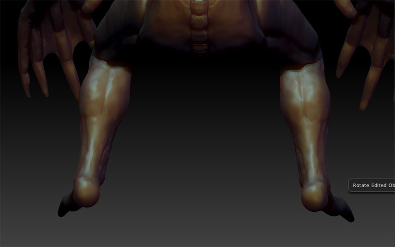 NewLvL_calf.jpg