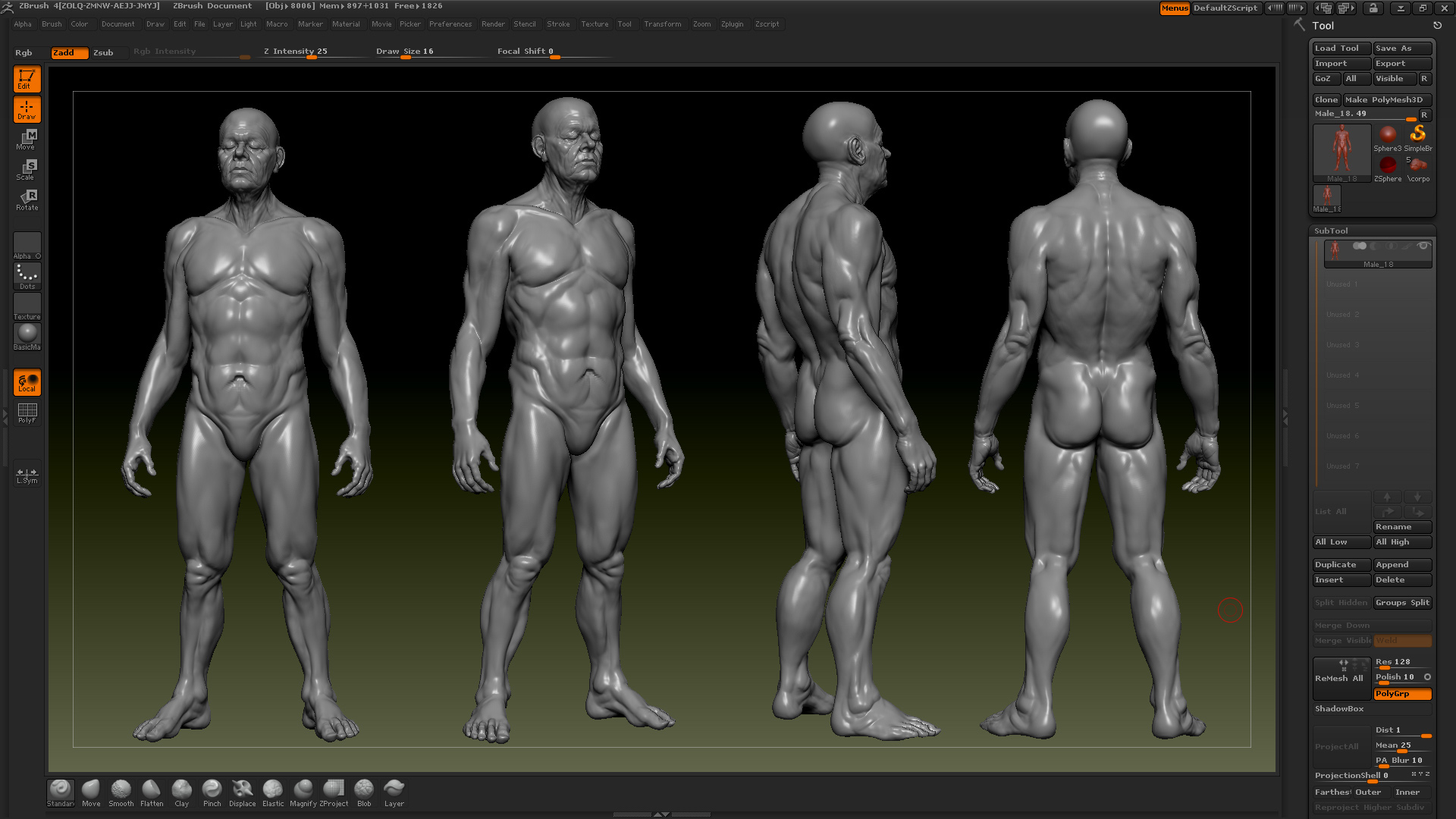 anatomy.jpg