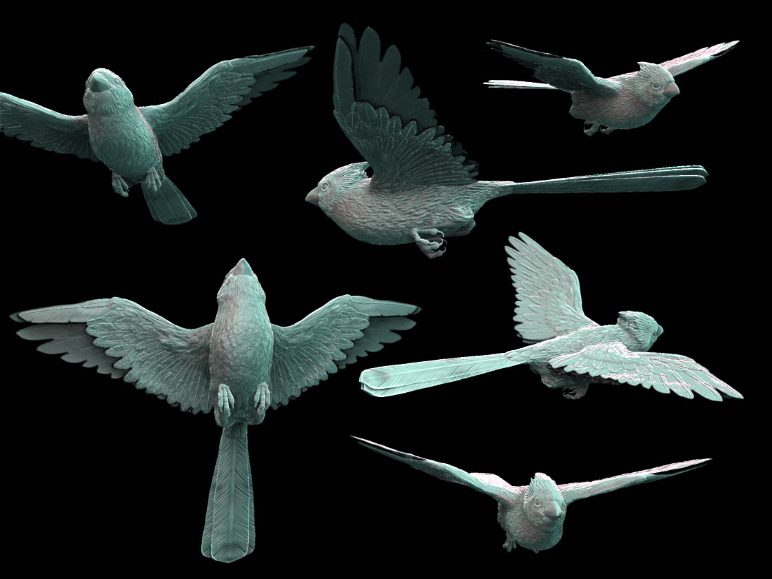 Cardinal_2.jpg
