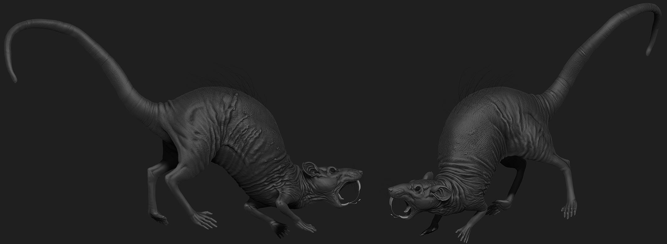 Rat.jpg