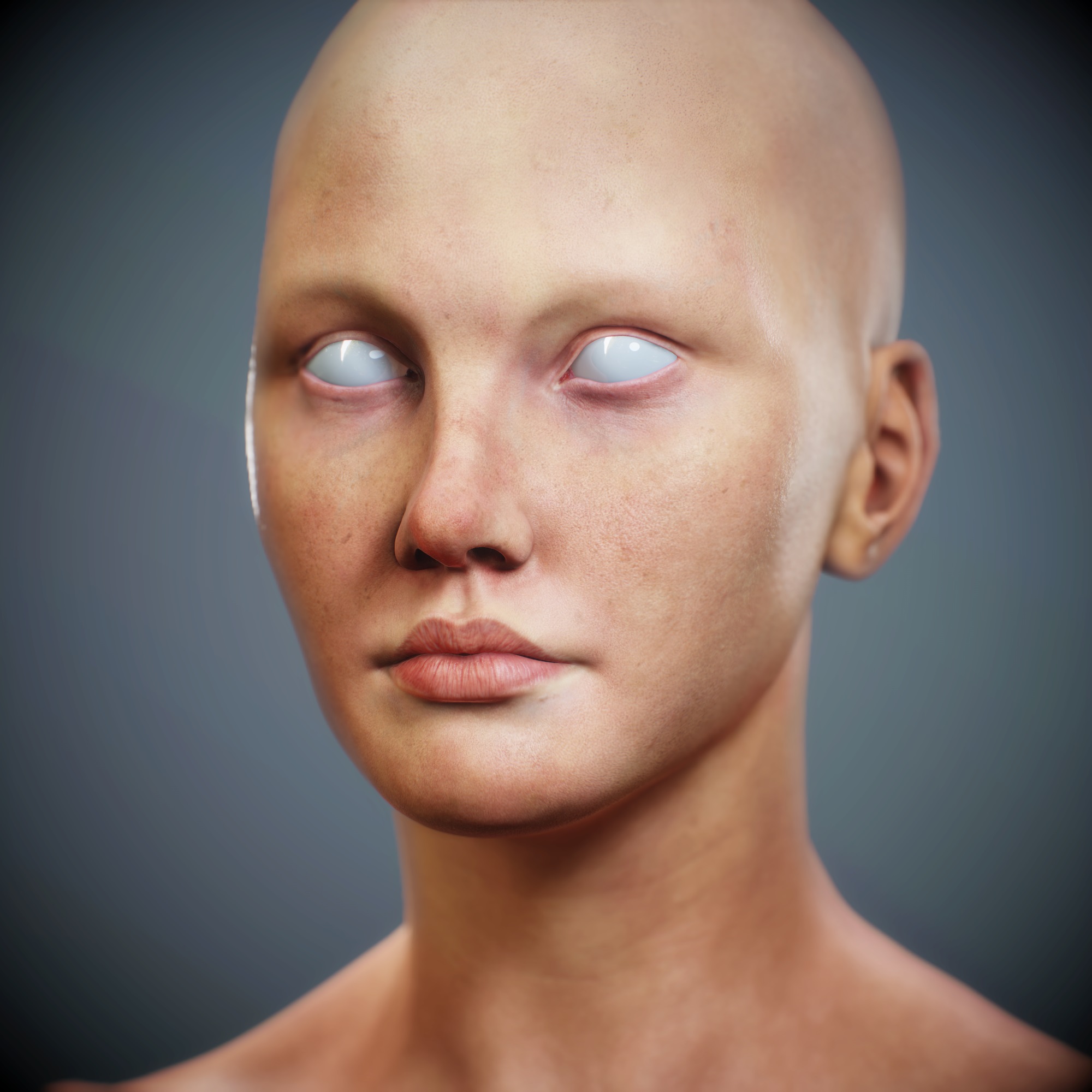 screenshot000.jpg
