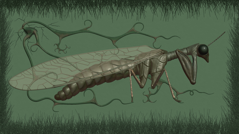 mantispaTut3.jpg