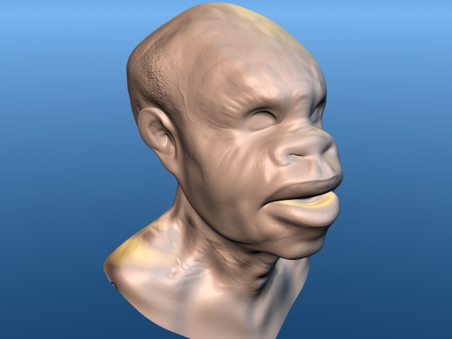 disp_render