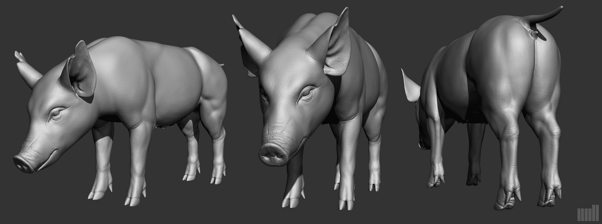 pig_Render.jpg