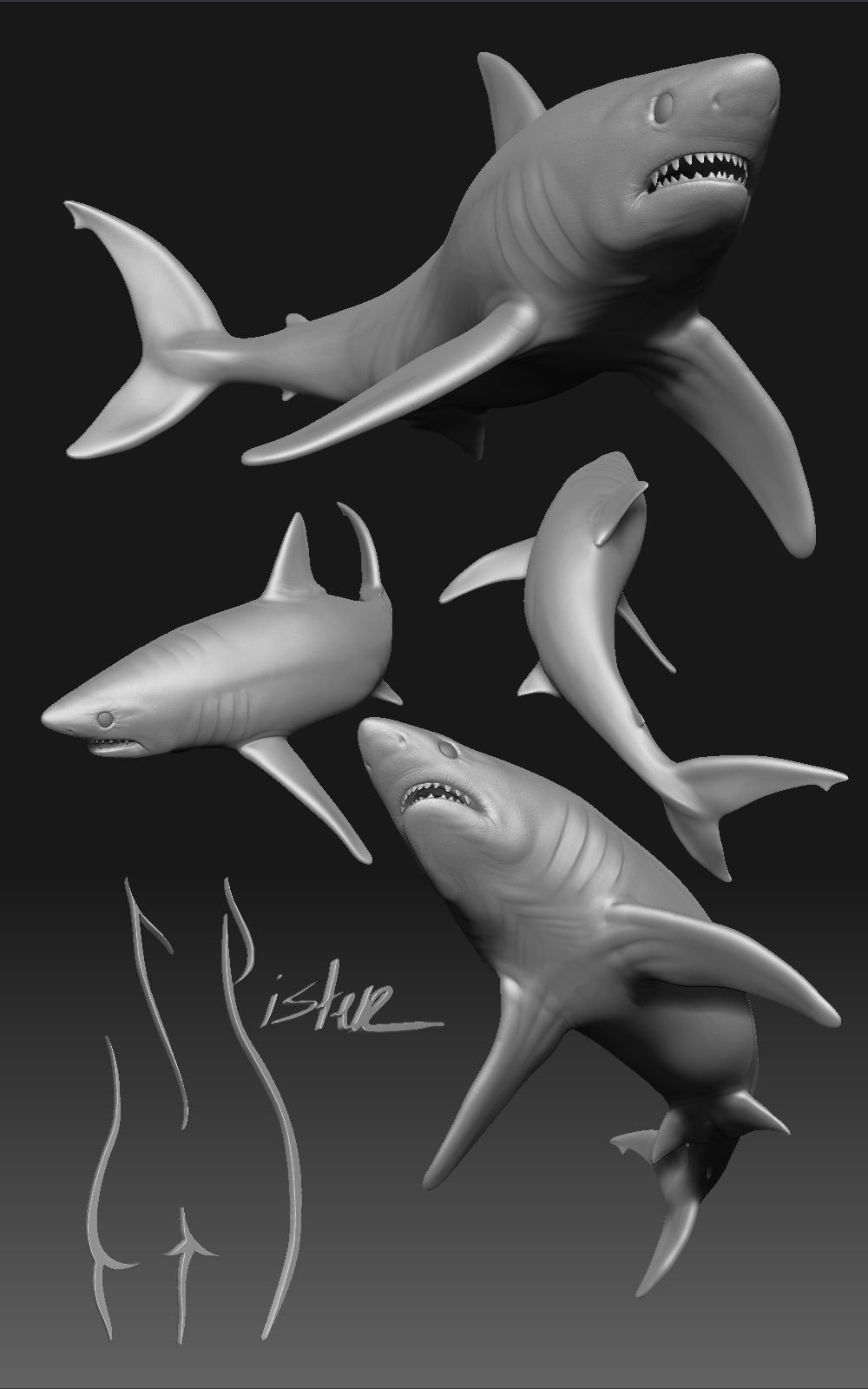 Shark1_full.jpg