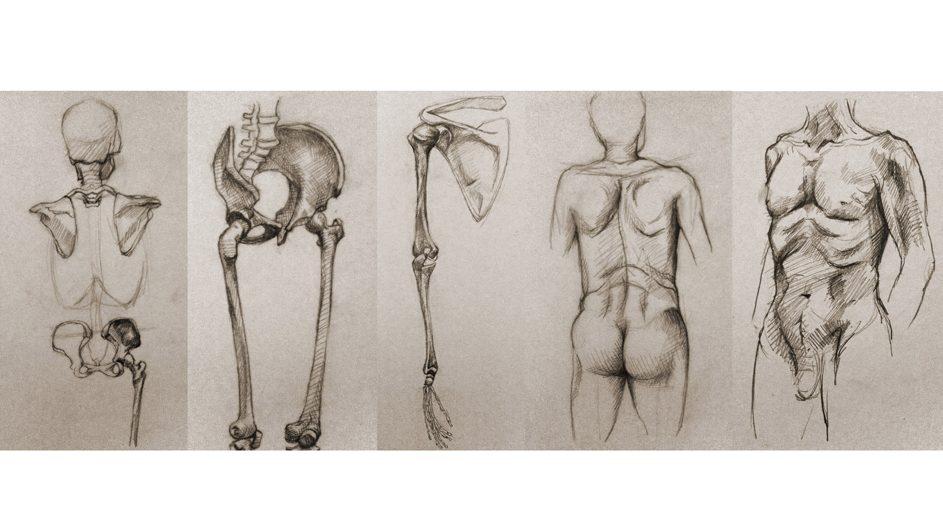 life drawing 014.jpg