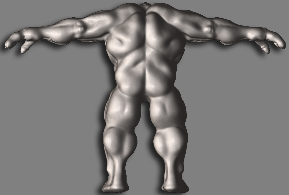 back veiny.jpg
