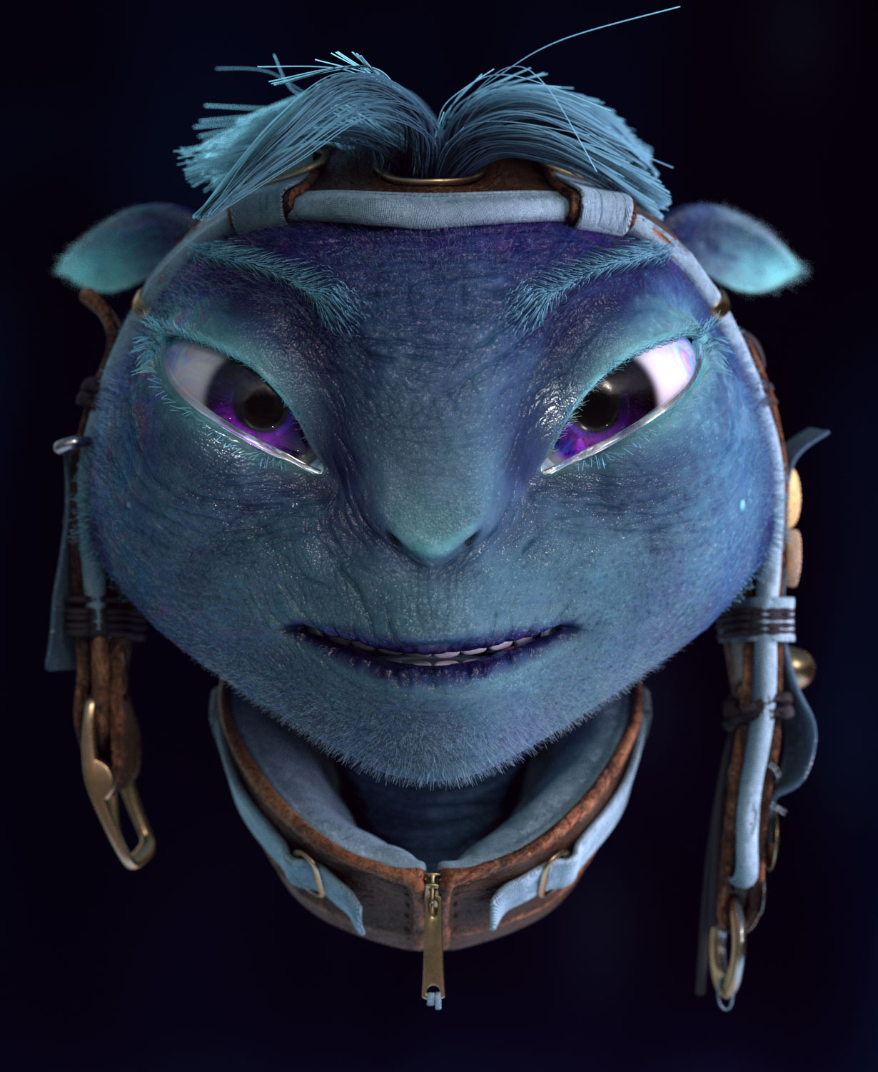 steve14c.jpg