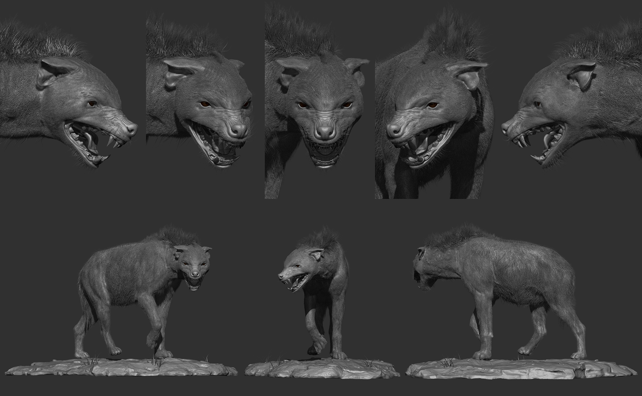 lineUp_Fur.jpg