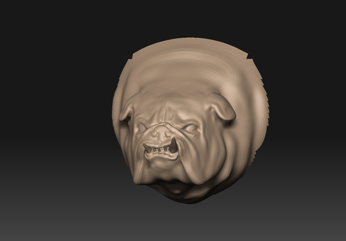 bulldog head sculpt.jpg