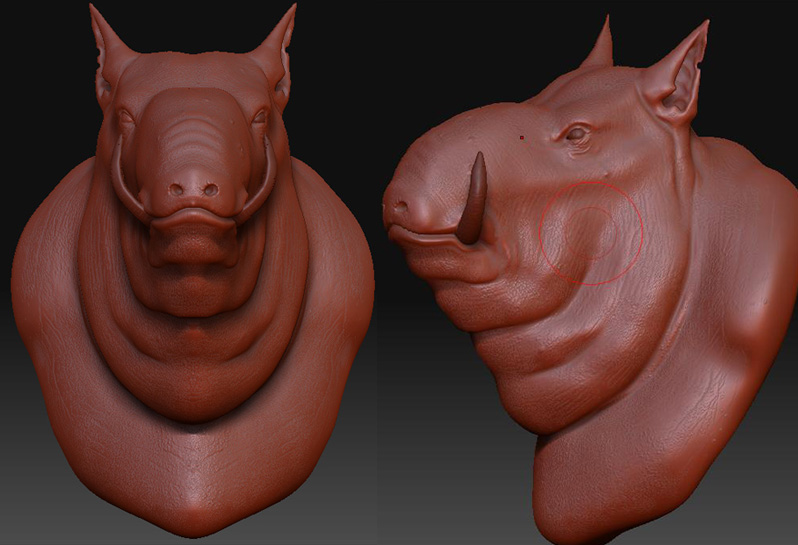 PIG.jpg