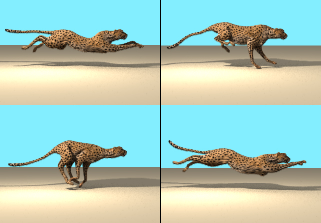 cheetah_07.jpg