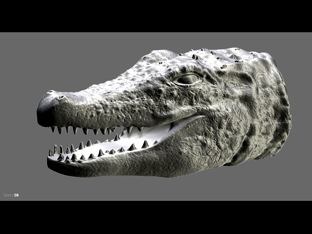 aligator_head_wip4.jpg