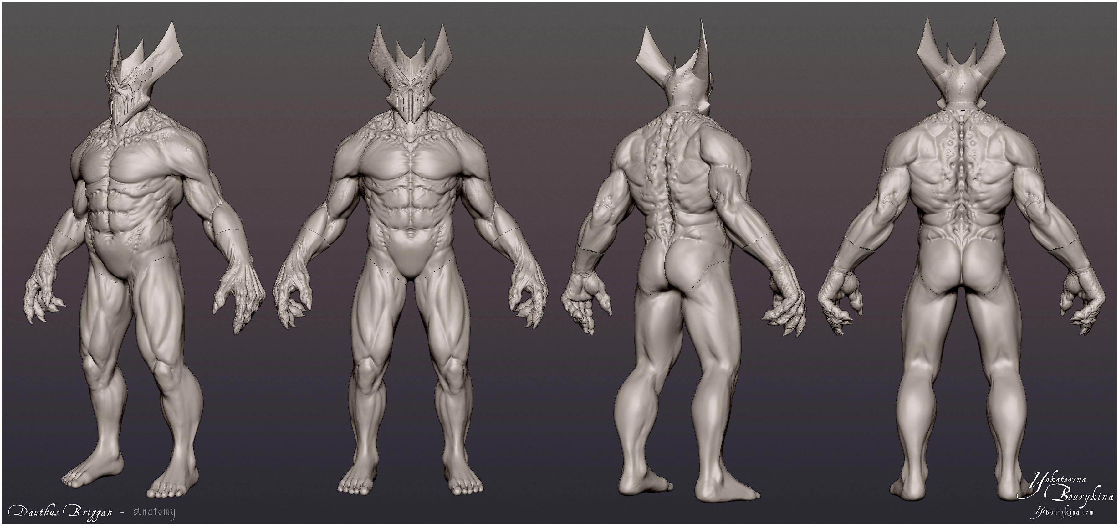 YBourykina_Briggan_Anatomy.jpg