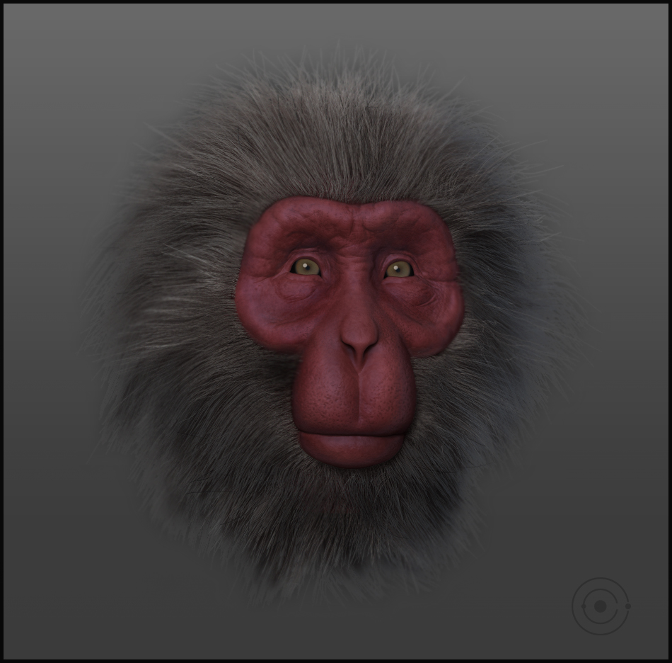 Monkey_02.jpg