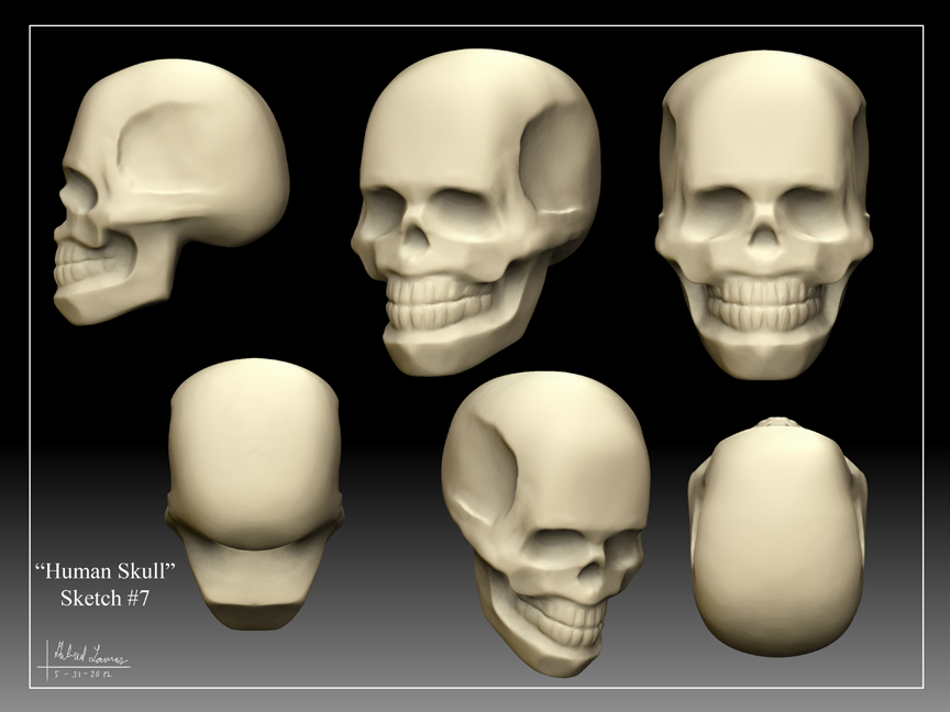 Human_Skull_Sketch_07.jpg