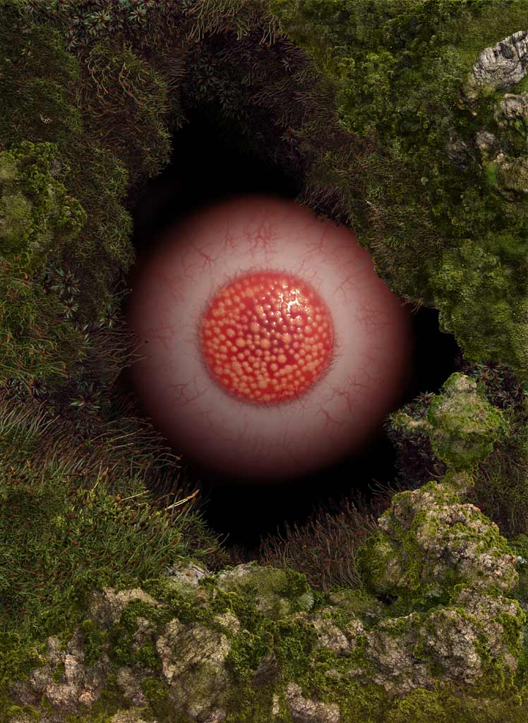 final image.jpg