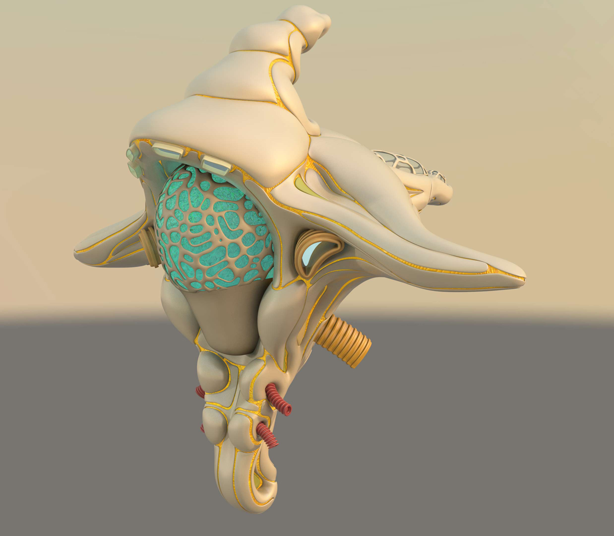 floaty-ship-rear-1.jpg