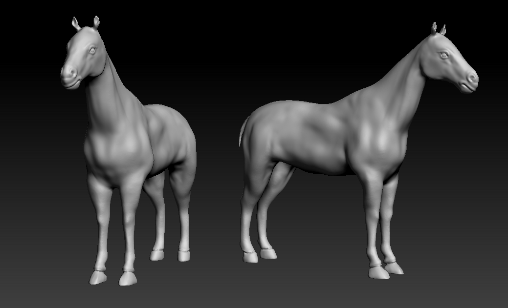 Horse_Study.jpg