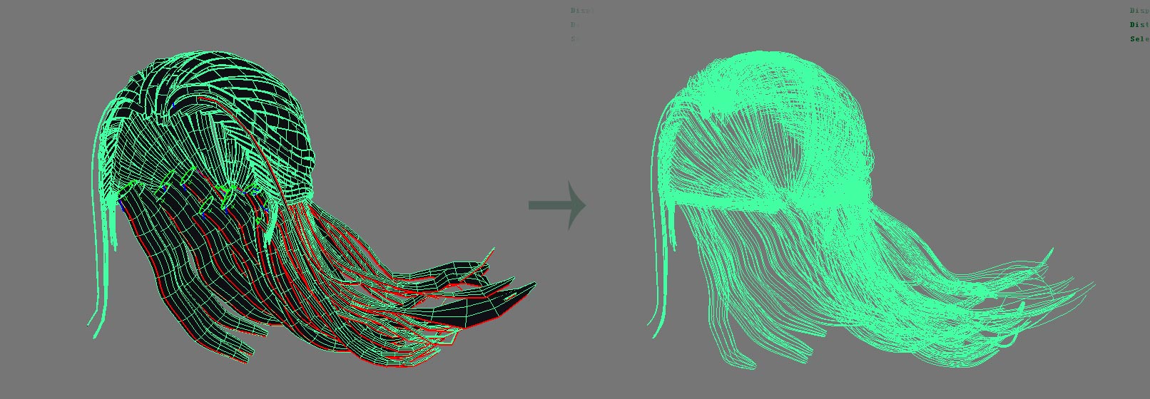 hair.jpg