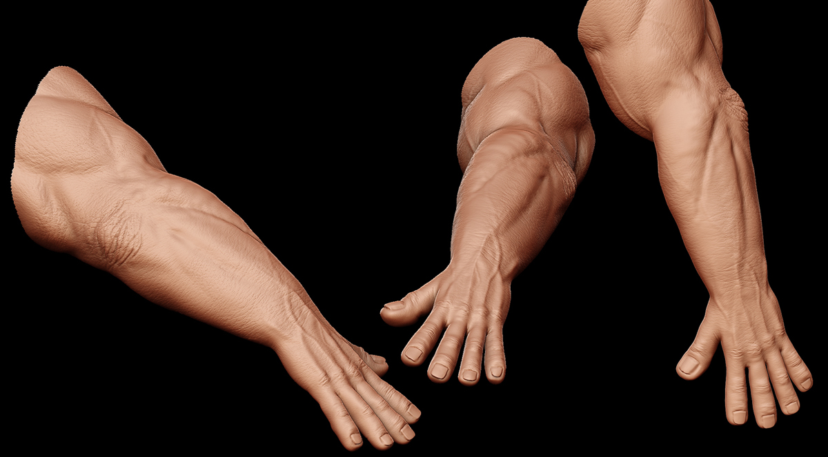 hand-model-all.jpg