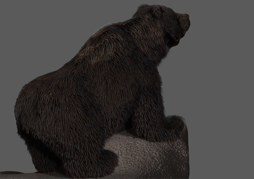 GRIZZLY FUR CLIFF 6.jpg