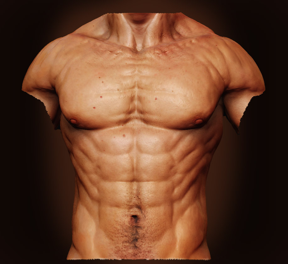 MaleAnatomyFront.jpg